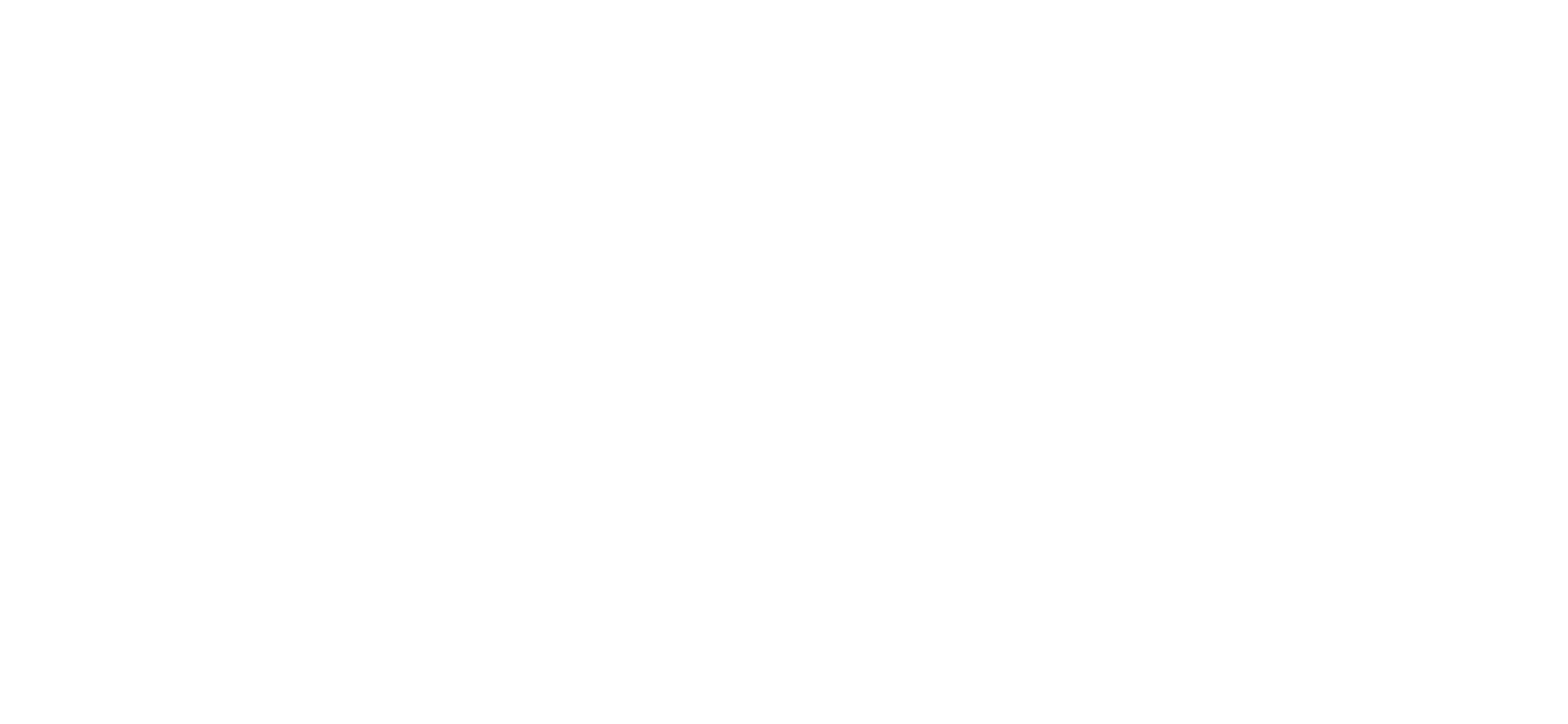 ManusPro
